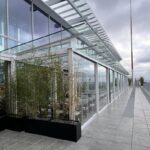 Paddıngton Square Rooftop