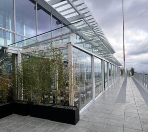 Paddıngton Square Rooftop
